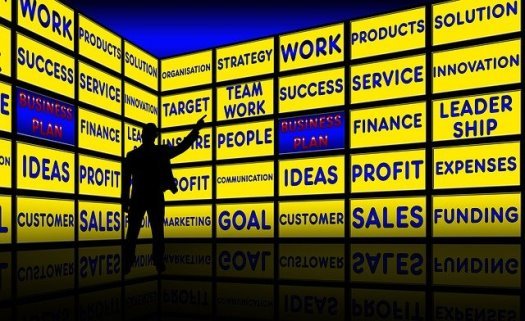 types of business goals