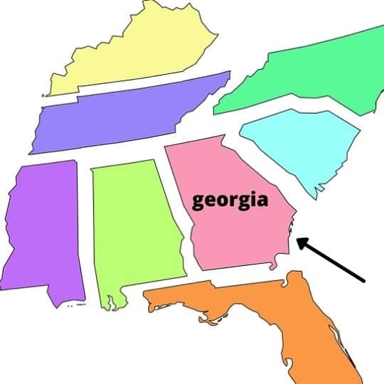 pros and cons of living in Georgia