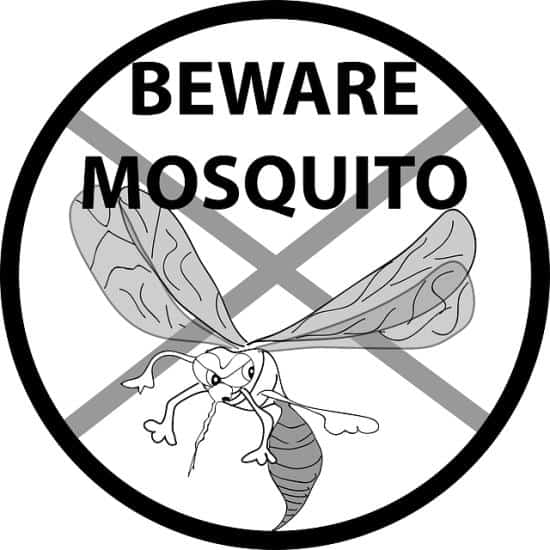 beware of mosquitos