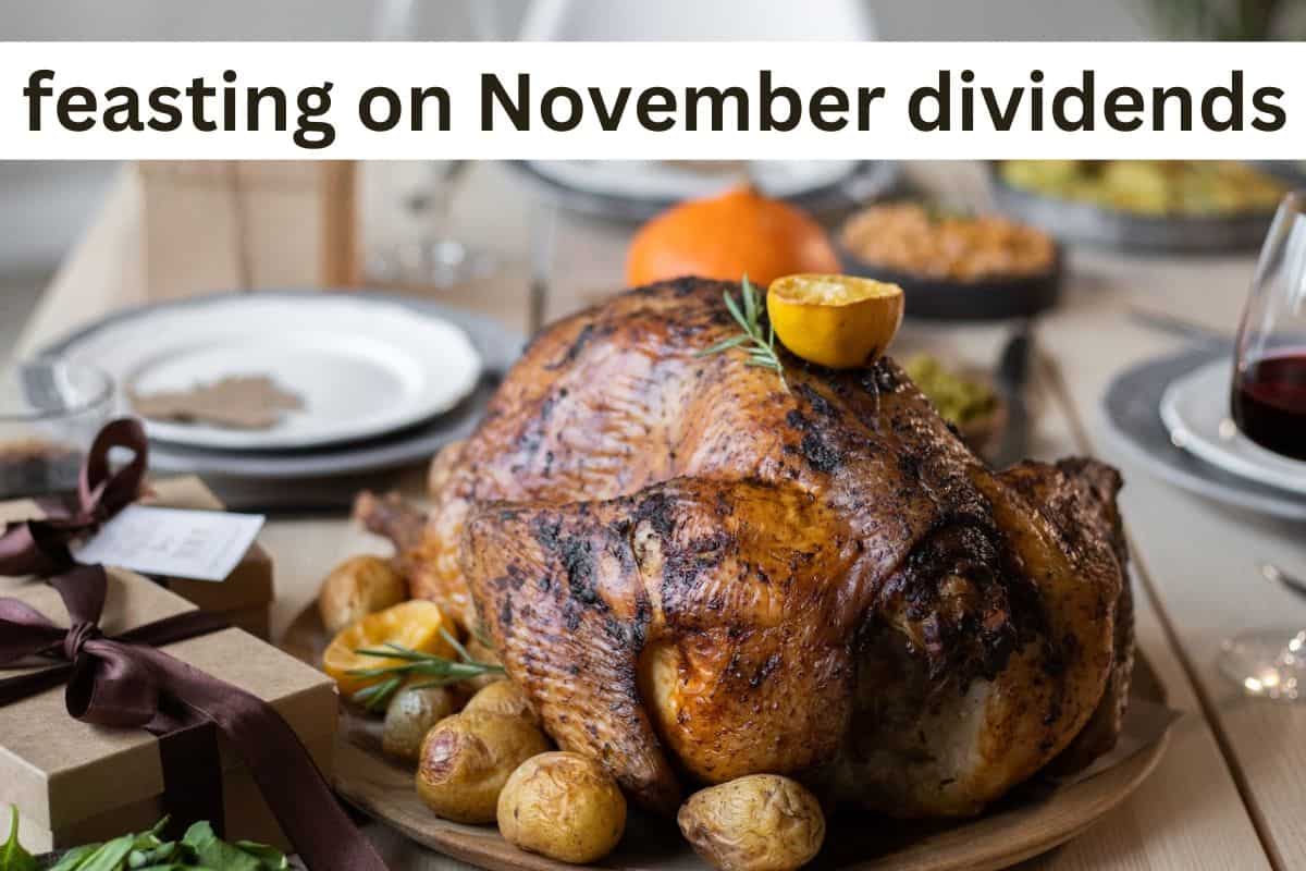 Roast turkey with title: feasting on November dividends